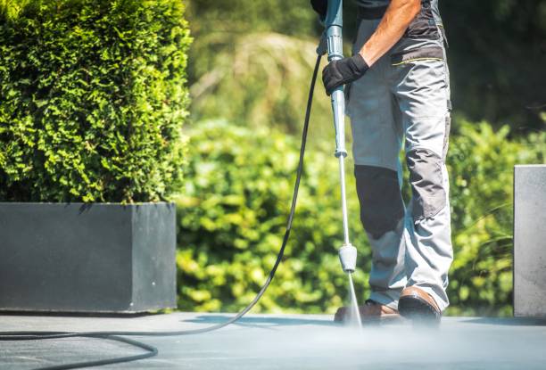 Best Driveway Cleaning and Restoration in Ida Grove, IA