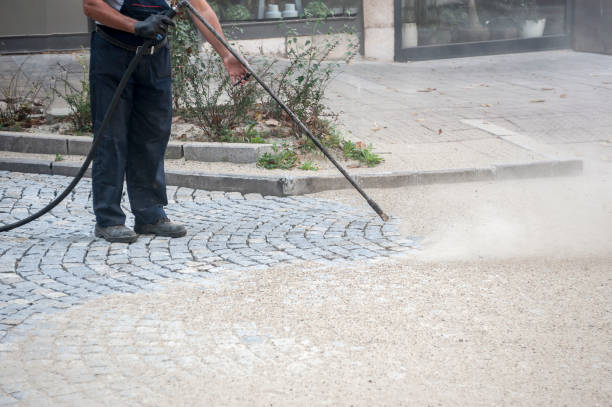 Best Sidewalk and Walkway Pressure Cleaning in Ida Grove, IA